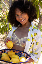 Lemon Yellow 2